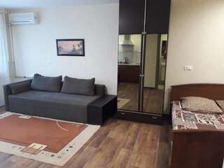 Апартаменты Welcome Apartments Днепр Апартаменты-студио: проспект Гагарина, 33-17